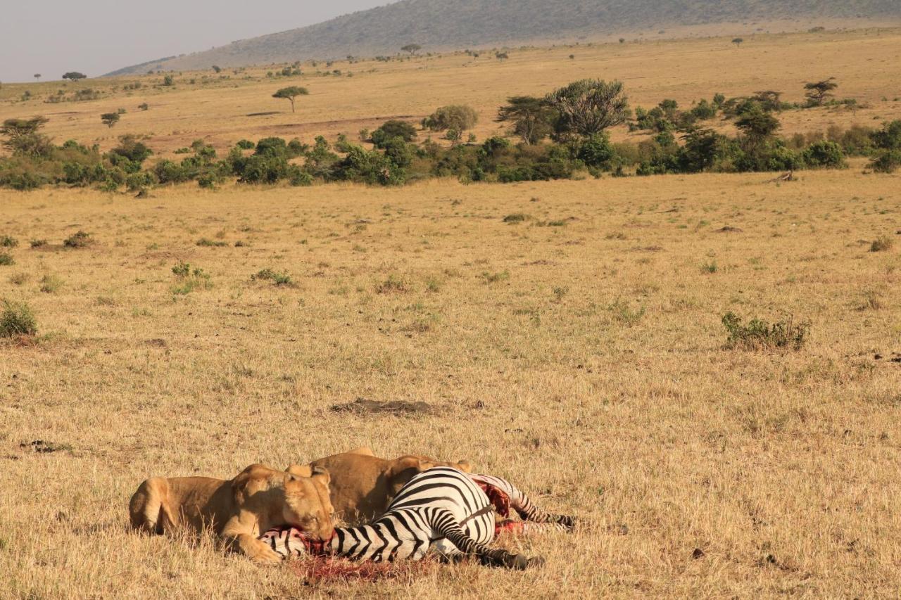 White House Of Tanzania Pansiyon Arusha Dış mekan fotoğraf